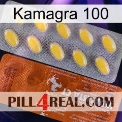 Kamagra 100 42